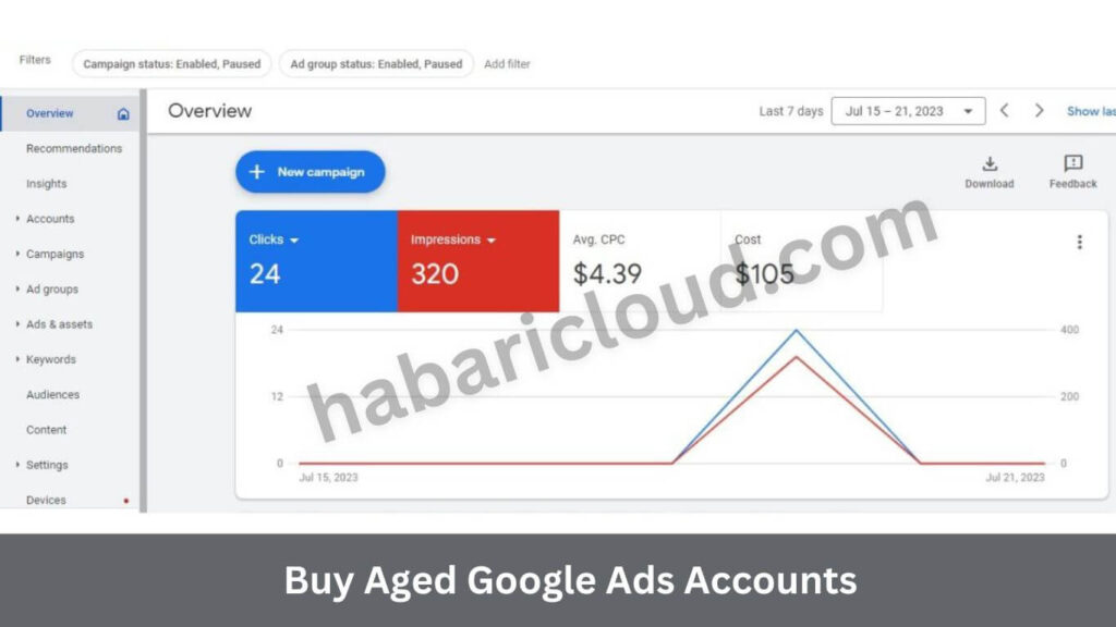 Buy Aged Google Ads Accounts